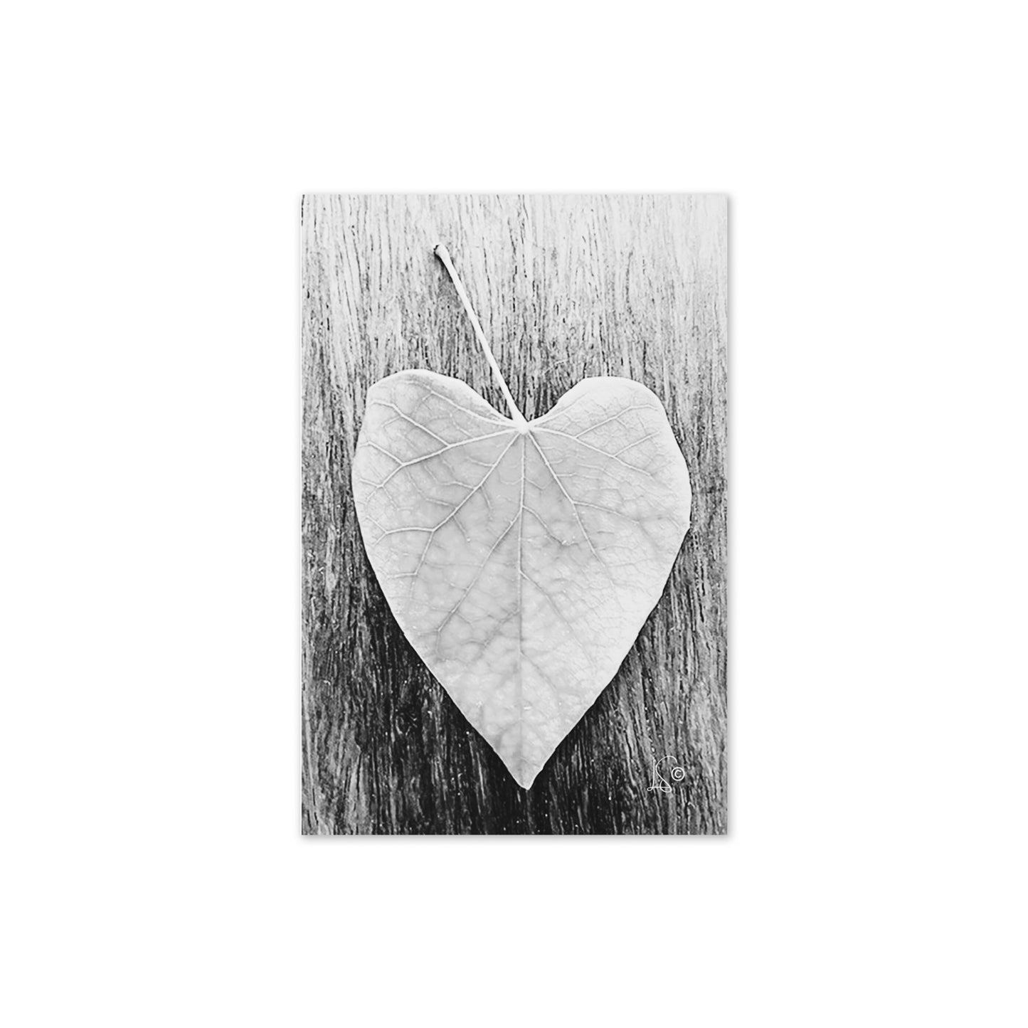 Leaf Greeting Card - Blank Inside - Monochrome Design