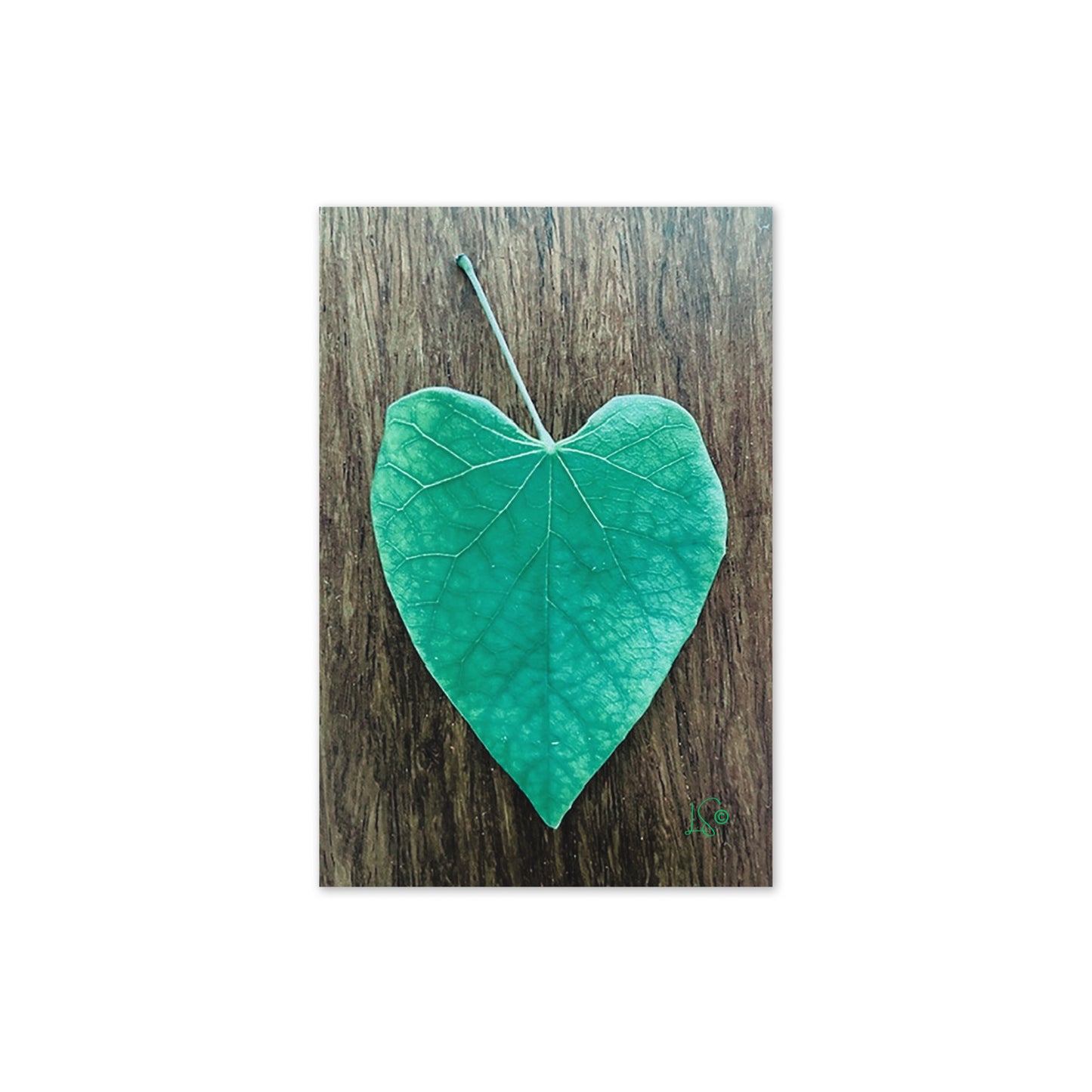 Leaf Greeting Card - Blank Inside - Woods Design