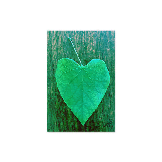 Leaf Greeting Card - Blank Inside - Green Design